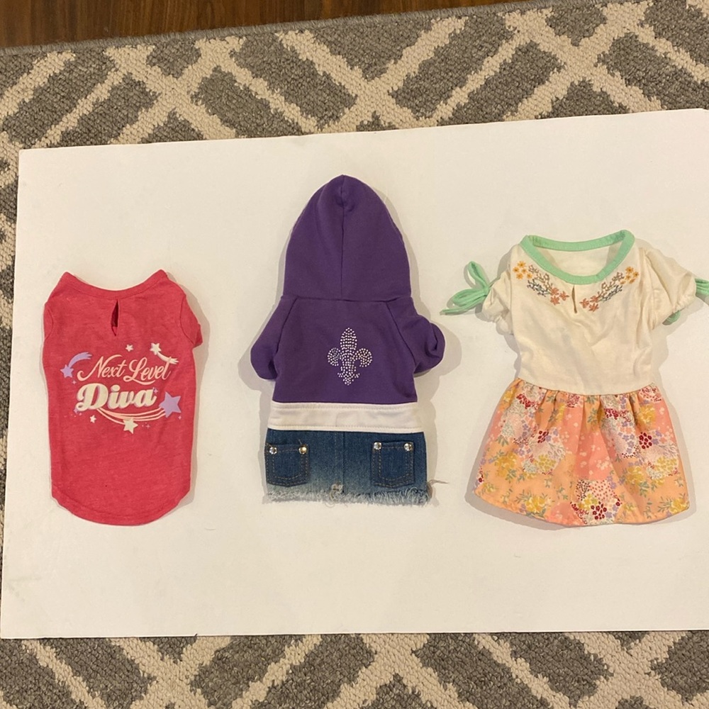 Bundle of girl dog clothes Hoodie, Jeans, diva XXS - Picture 1 of 5